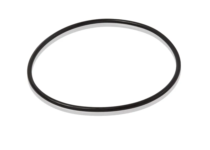 Nitrile rubber 169,3x5,7