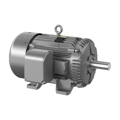 25HP,1180RPM,3PH,60HZ,324T,1072M,TE