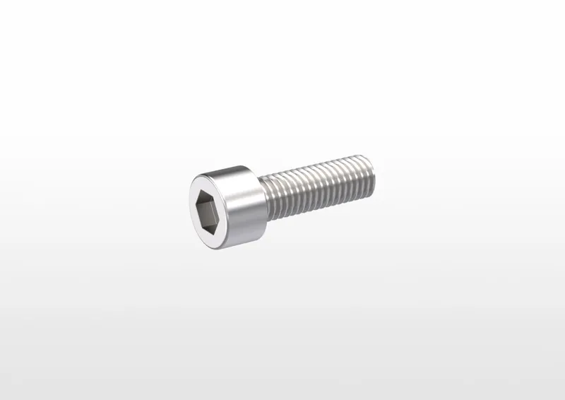 Steel 8.8 Gleitmo 605 M8x25