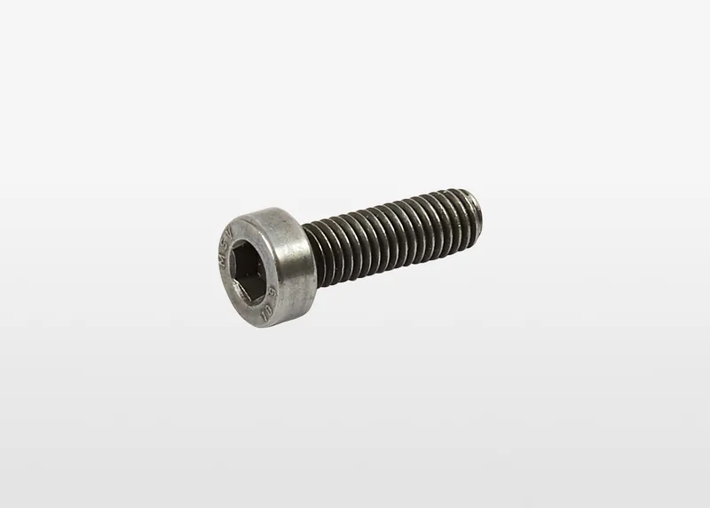STEEL 10.9 GLEITMO 610 M5X16