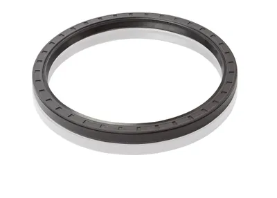 ABB 3HAB3701-47 – Nitrile Rubber D=190/220 B=15 ABB 3HAB3701-47 – Nitrile Rubber D=190/220 B=15