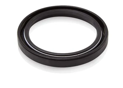 ABB 3HAB3702-18 – Nitrile rubber D=52/68; B=8 ABB 3HAB3702-18 – Nitrile rubber D=52/68; B=8