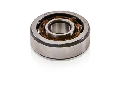 ABB 3HAB3729-13 – 7302 BEP D=15/42; B=13