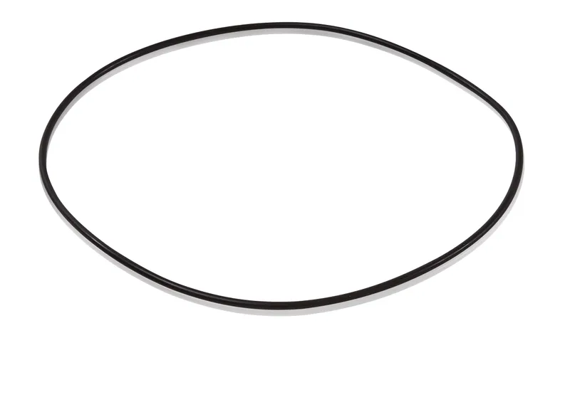 Nitrile Rubber D169,5x3