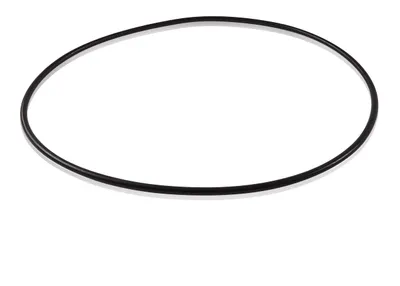 Nitrile Rubber 264,3x5,7