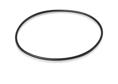 ABB 3HAB3772-27 – Nitrile Rubber 170x5 ABB 3HAB3772-27 – Nitrile Rubber 170x5
