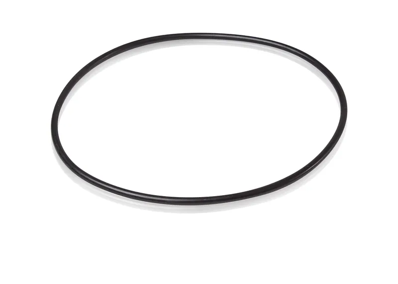 Nitrile Rubber 170x5