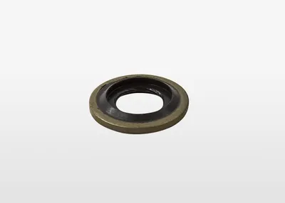 FKM, Stainless steel M6x10x1