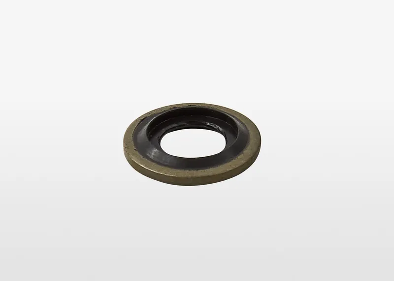 FKM, Stainless steel M6x10x1