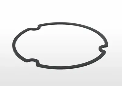 ABB 3HAC080698-001 – Swing center gasket