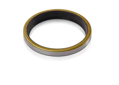 ABB 3HAC3934-1 – NITRILE RUBBER D=60/70 B=10 ABB 3HAC3934-1 – NITRILE RUBBER D=60/70 B=10