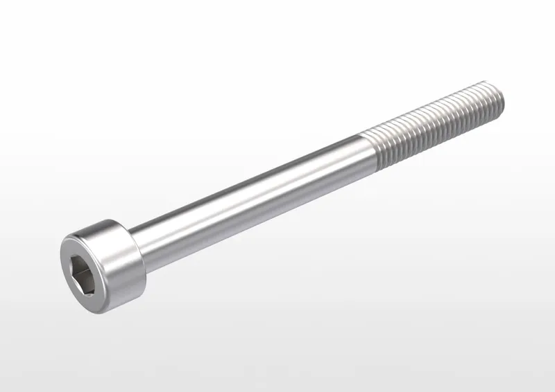 STEEL 8,8 ELZN M5 x 55
