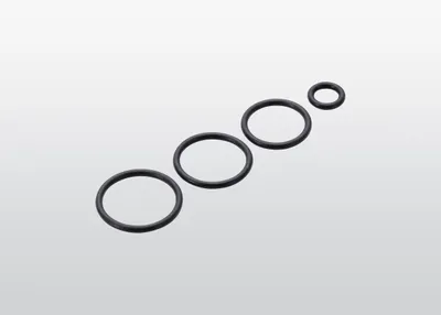 ABB 3HS0395-01 – O RING KIT(SEAT 2) ABB 3HS0395-01 – O RING KIT(SEAT 2)