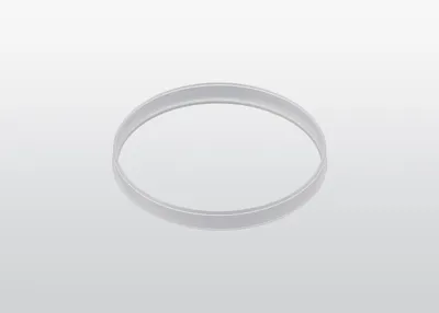 ABB 3HS0409-01 – Seal ring B8 ABB 3HS0409-01 – Seal ring B8