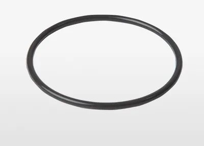 ABB 3HSD-0000030022 – O-RING (ABB Paint Seal)