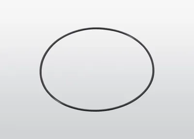 ABB 3HSD-0000030107 – O-RING (ABB Paint Seal) ABB 3HSD-0000030107 – O-RING (ABB Paint Seal)