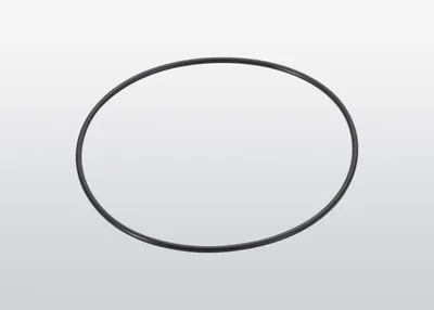 ABB 3HSD-0000030122 – O-RING (ABB Paint Seal)