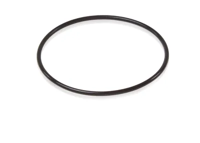 ABB 3HSD-0000030124 – O-RING (ABB Paint Seal)