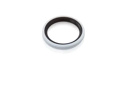 ABB 4N2484-02 – CAP SEAL