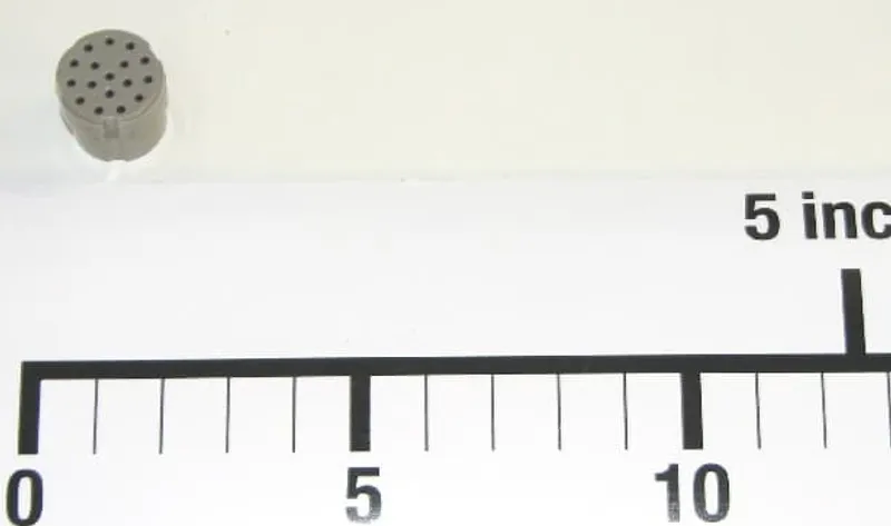 MALE — photo 2 of 2