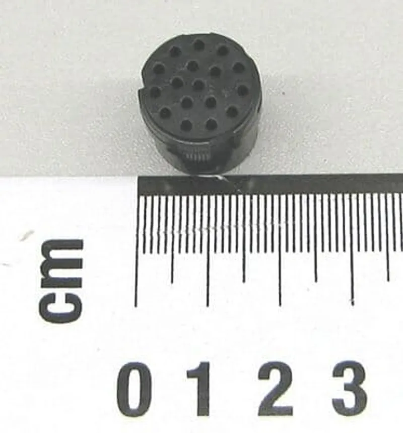 FEMALE — photo 1 of 2