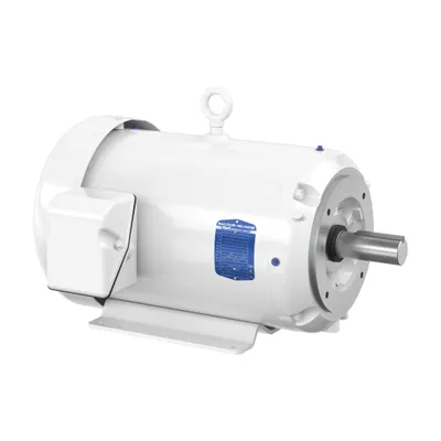 20HP,1765RPM,3PH,60HZ,256TC,3952M,T
