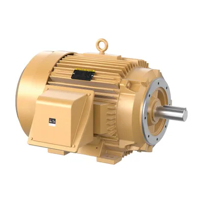 75HP,1785RPM,3PH,60HZ,365TC,A3676M,