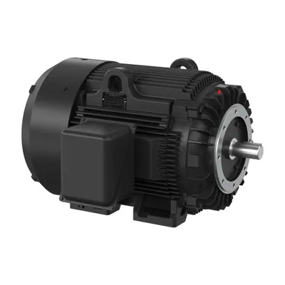 100HP,3560RPM,3PH,60HZ,405TSC,A4006