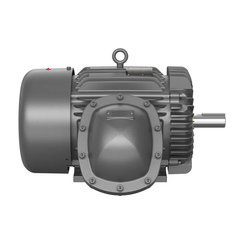 20HP,1180//980RPM,3PH,60HZ,286T,XPF — photo 2 of 3
