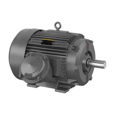 60HP,1780RPM,3PH,60HZ,364T,A3658M,T