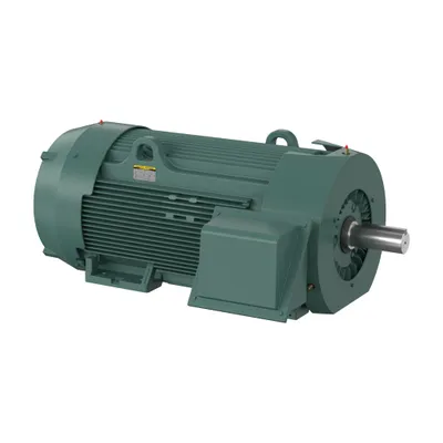 300HP,1190RPM,3PH,60HZ,L449T,TEFC,F