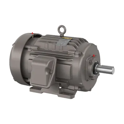 10HP,1175RPM,3PH,60HZ,256T,0962M,TE