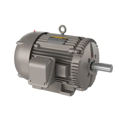 25HP,1180RPM,3PH,60HZ,324T,1272M,TE