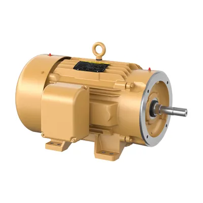 58M 2P TEFC HOR 324JM SE
