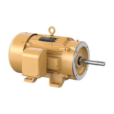 40HP,3530RPM,3PH,60HZ,324JP,1058M,T