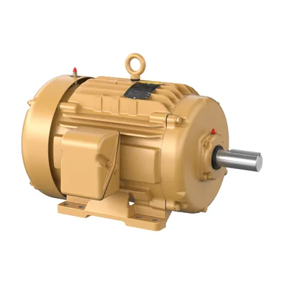 52M 8P TEFC HOR 254T
