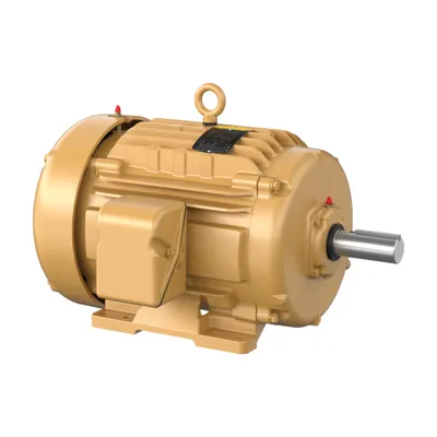 20HP,1465RPM,3PH,50HZ,256T,0956M,TE