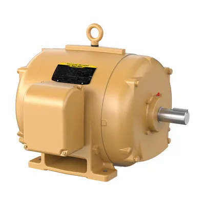 50HP,3540RPM,3PH,60HZ,324TS,1250M,O