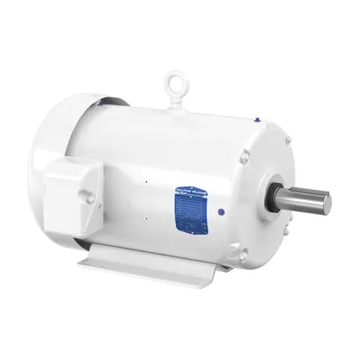 20HP,1765RPM,3PH,60HZ,256T,3952M,TE