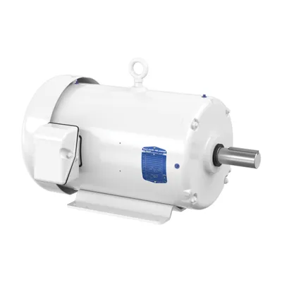 20HP,3520RPM,3PH,60HZ,256T,TEFC,F1