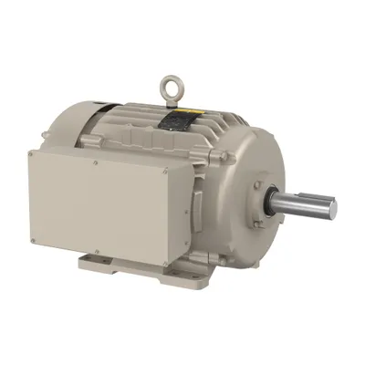 16HP,1740RPM,1PH,60HZ,256TZ,0956LC,