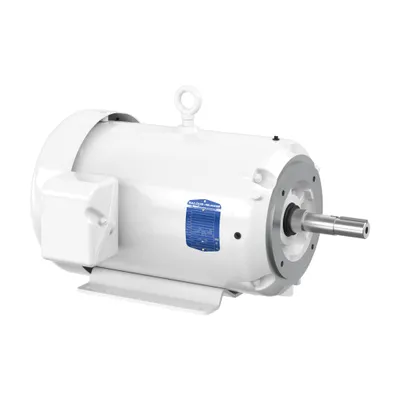 20HP,1765RPM,3PH,60HZ,256JM,3952M,T
