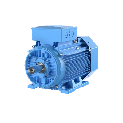 ABB 3GAA259216-ADG – M3AA 250SMA 6/8