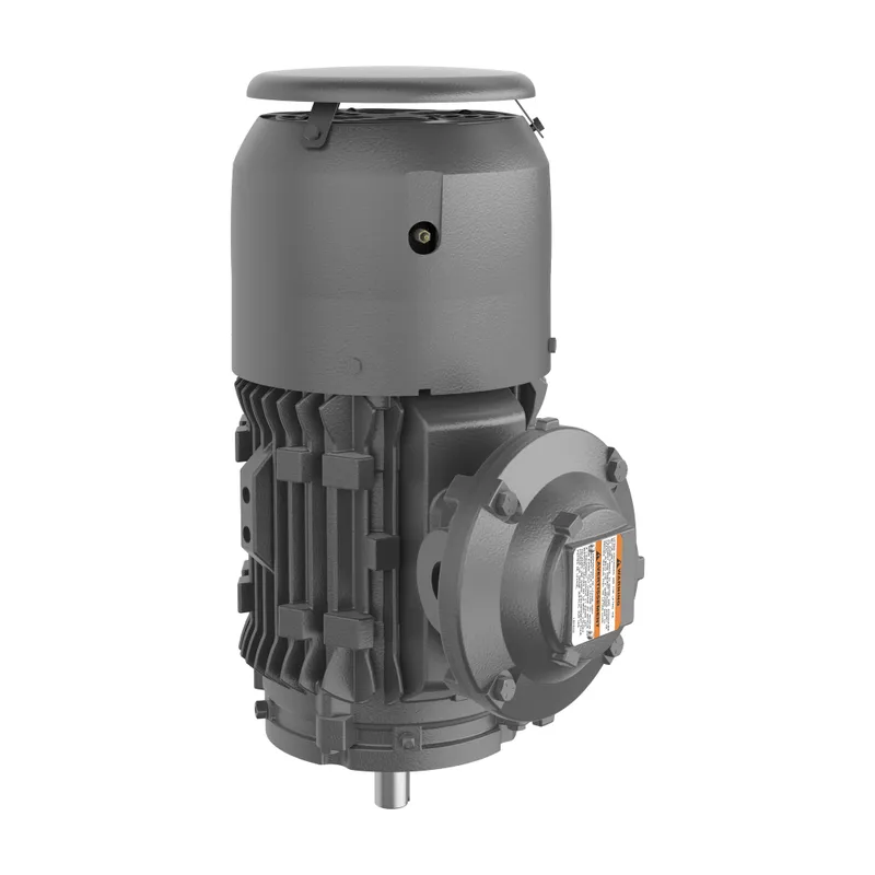 MOTOR,5,1200,XP100,230/460,215TCV — photo 3 of 3