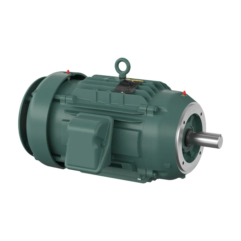 10HP,1180RPM,3PH,60HZ,256TC,0960M,T — photo 1 of 3