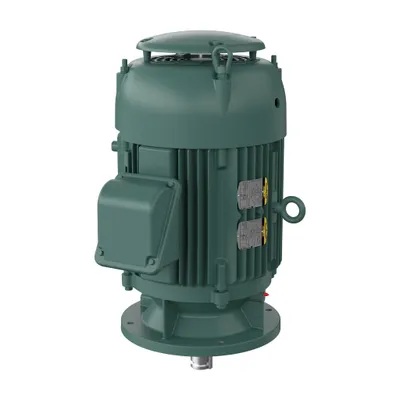 40HP,3540RPM,3PH,60HZ,324LP,1240M,T