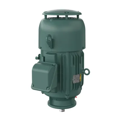 20HP,1770RPM,3PH,60HZ,256LP,TEFC,V1