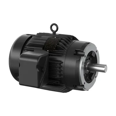 3HP,1165RPM,3PH,60HZ,213TC,0738M,TE