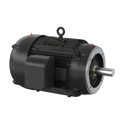 25HP,1180RPM,3PH,60HZ,324TC,1260M,T