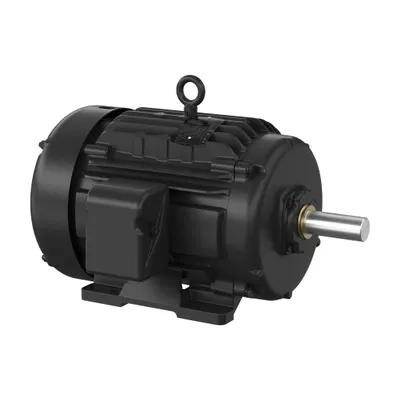 15HP,3520RPM,3PH,60HZ,254T,0930M,TE